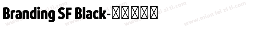 Branding SF Black字体转换